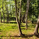 Brzozowy Zagajnik Mk - Prywatny Domek, Relaks, Mini Golf I Natura Holiday home