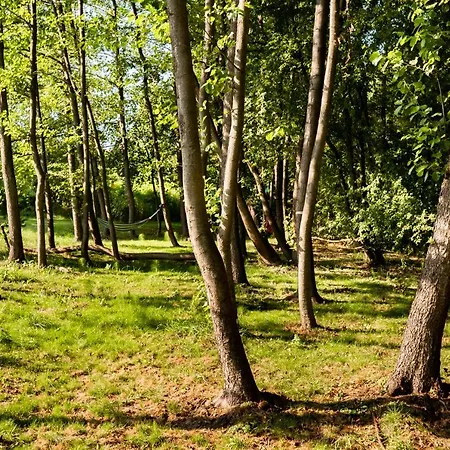 Brzozowy Zagajnik Mk - Prywatny Domek, Relaks, Mini Golf I Natura Casa de Férias